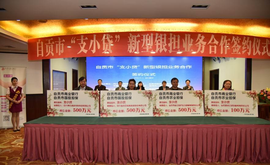 国投担保“支小贷”