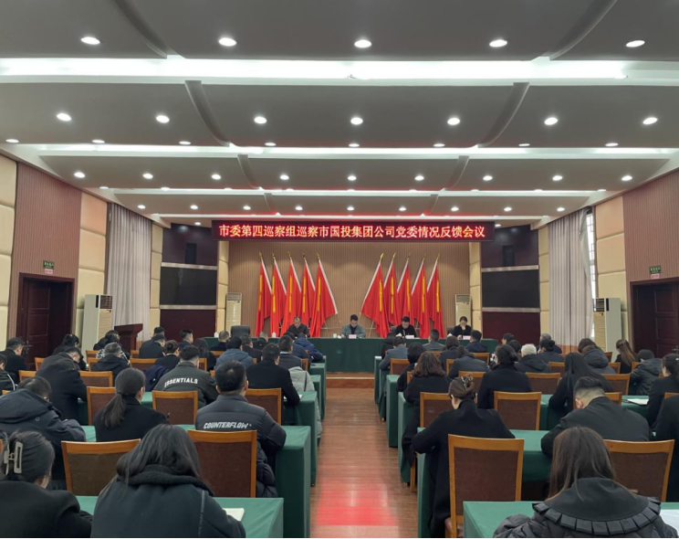 十三届市委第五轮巡察第四巡察组向市国投集团公司党委反馈巡察情况